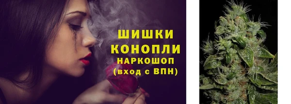 mdpv Белокуриха