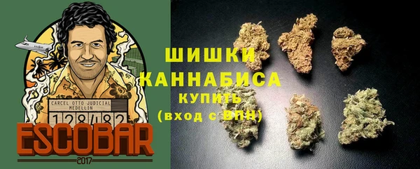 ПСИЛОЦИБИНОВЫЕ ГРИБЫ Баксан
