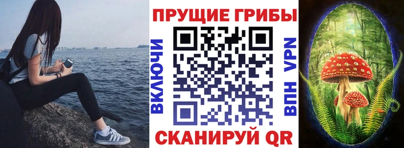 Галлюциногенные грибы Cubensis  Купить закладки  Фатеж 